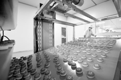 光影交织中的产业变迁 现代食品产业与摄影扩印服务的时代交响